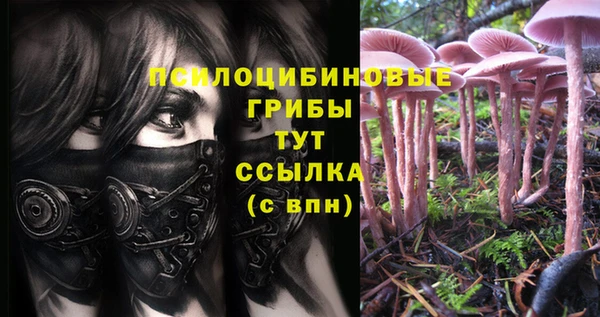 apvp Михайлов