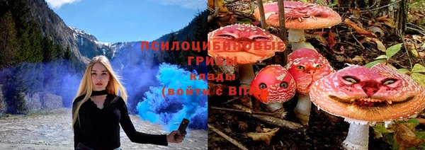 apvp Михайлов