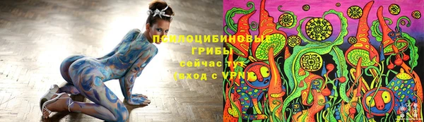 apvp Михайлов