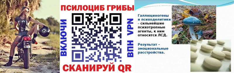 как найти   Сызрань  Галлюциногенные грибы GOLDEN TEACHER 